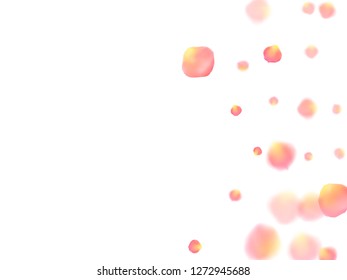 Rose gold petals flying cosmetics vector background. Glamour showering flower blossom parts vector. Pink gold petals falling invitation background. Birthday or natural cosmetics design.