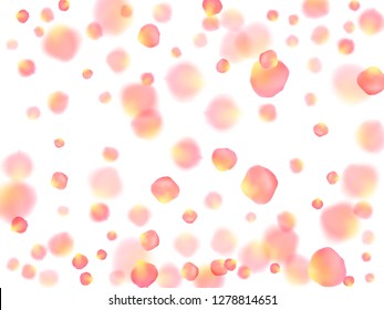 Rose gold petals flying cosmetics vector background. Airy 3d flower parts shower isolated on white. Pink gold petals falling invitation background. Wedding invitation or natural cosmetics design.
