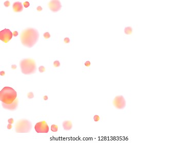 Rose gold petals flying cosmetics vector background. Creative showering flower blooming parts vector. Pink gold petals falling invitation background. Anniversary or natural cosmetics design.