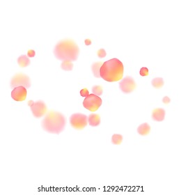 Rose gold petals flying cosmetics vector background. Beautiful showering flower blooming parts vector. Pink gold petals falling invitation background. Valentine or natural cosmetics design.