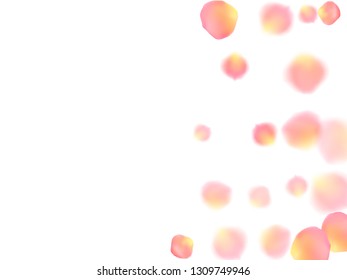 Rose gold petals flying cosmetics vector background. Natural showering flower blossom parts vector. Pink gold petals falling invitation background. Anniversary or natural cosmetics design.