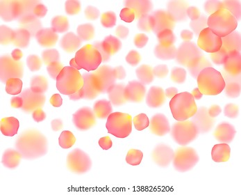 Rose gold petals flying cosmetics vector background. Idyllic showering flower blooming parts vector. Pink gold petals falling invitation background. Anniversary or natural cosmetics design.