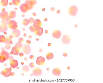Rose gold petals flying cosmetics vector background. Realistic showering flower blooming parts vector. Pink gold petals falling invitation background. Anniversary or natural cosmetics design.