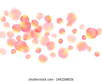 Rose gold petals flying cosmetics vector background. Delicate showering flower blossom parts vector. Pink gold petals falling invitation background. Wedding invitation or natural cosmetics design.