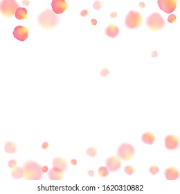 Rose gold petals flying cosmetics vector background. Magic showering flower blossom parts vector. Pink gold petals falling invitation background. Birthday or natural cosmetics design.