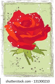 A Rose Graffiti Style