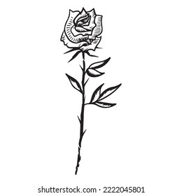 rose graphic design vector illustration,art tattoo sketch,hand draw,print use