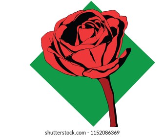 Rose Graphic Design. Vector set rose