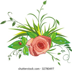 Rose, grass and ladybird. Vector