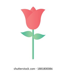 rosa con tallo verde sobre un diseño de ilustración de vector de fondo blanco