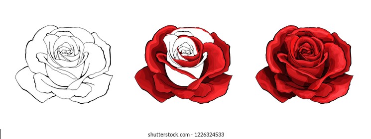 Rose hand drawing and colored to red with shadows. A blossoming rosebud. Vector element illustration.