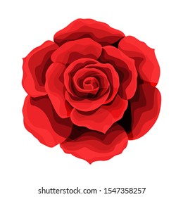 Rose hand drawing and colored to red with shadows. A blossoming rosebud. Vector single element illustration isolated on white for design