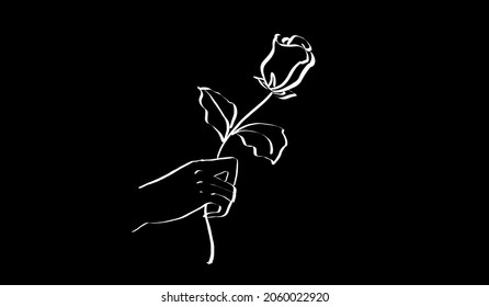Rose hand drawing illustration in black background