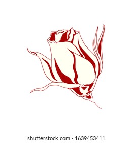 Rose in hand drawn doodle style isolated on white background. Vector illustration. Printing on clothes, design element, logo for a flower shop and more.
