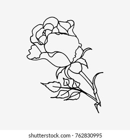 Rose hand drawn logo design. vector stock illustration