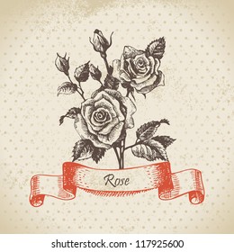 Rose. Hand Drawn Vintage Design	