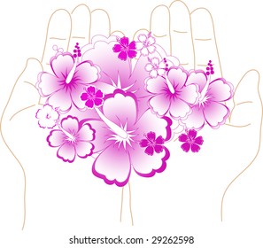 Rose hibiscus in the palms