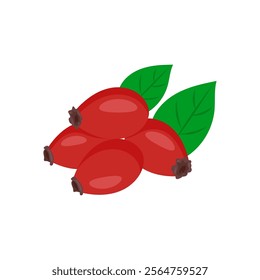 Rose Hip , Autumn Isolated Vector Illustration