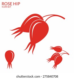 Rose hip berries. Eps10 vector  