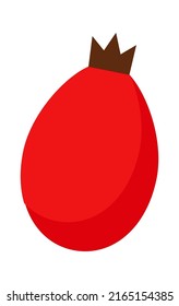 Rose hip berry. Vector illustration