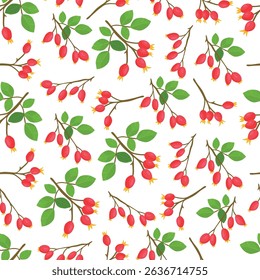 Rose hip branch. Autumn, fall seamless pattern. Flat vector clipart, illustration with isolated background.