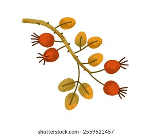 Rose hip branch. Wild rosehip twig, dogrose berries and leaf. Autumn plant with red fruits and leaves. Seasonal botanical design element. Flat vector illustration isolated on white background