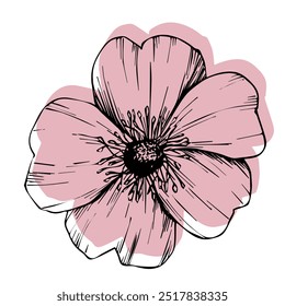 Rosenhüfte, Hundsrose. Wilde Rosenblumen, Heilkräuterlinien Kunstzeichnung. Gliederungsvektorgrafik einzeln auf weißem Hintergrund. Skizze für Logo, Tätowierung, Hochzeitsdesign.