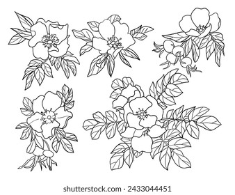 Rose hip flower silhouettes set, large pack of vector silhouette design, isolated white background