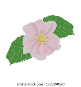 Rose hip flower with two green leaves for print design