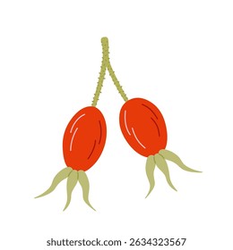 Rose hip fruit. Hand drawn icon of branch with berries in sketch doodle style. Isolated vector illustration.
