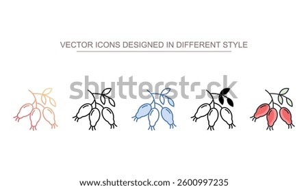 Rose Hip icon design with white background stock illustration