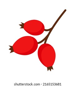 Rose hip icon. Vector illustration