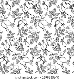 Rose hip leaves flowers pattern doodle hand drawn graphics vector