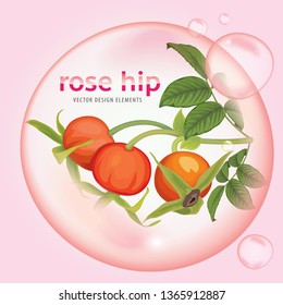 Rose hip oil extract essence with flower and fruit on background template. Vector set of element for advertising, banner, packaging design of rosehip products.