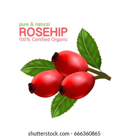 Rose hip oil natural cosmetic skin care