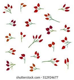 Rose hip set - vector illustration