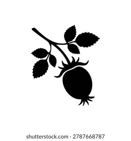 Rose hip silhouette icon vector flat design.