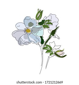 Rose hip vector bright icon isolated on white background. Hand drawn rose hip. For infographic, website or app