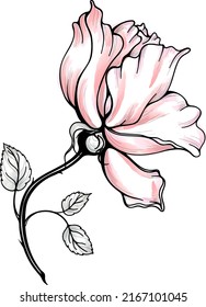 Rose hip vector element perfect for white background.
