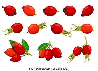 Rose Hip vector logo isolated on white background.