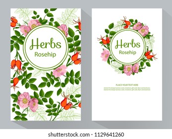 Rose hip vertical banners, vector illustration, line art decorative rosehip for design cosmetic, natural medicine, herbal tea, food menu. 
