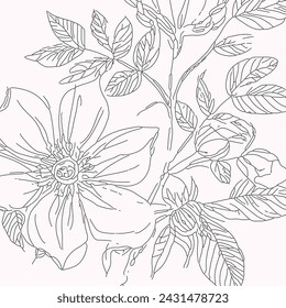 Rose hip wild spring flowers, abstract floral sketch art, hand drawn texture pencil,  botanical illustration