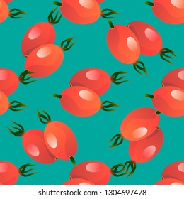 Rose hips berry seamless pattern vector illustration