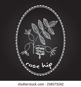 Rose hips branch