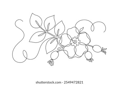 Rose hips flower, leaves, berries drawn in continuous line in minimalist style, dog rose, briar, rosa canina, wild rose, editable vector contour.