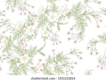 Rose hips with flowers and berries seamless pattern. Graphic drawing, engraving style. Vector illustration on white background