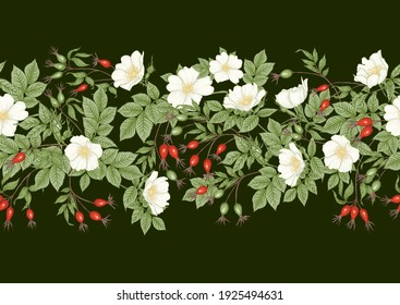 Rose hips with flowers and berries seamless pattern. Graphic drawing, engraving style. Vector illustration on black background