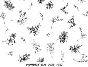 Rose hips with flowers and berries seamless pattern. Graphic drawing, engraving style. Vector illustration in black color on white background