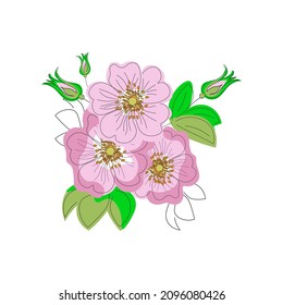 Rose hips flowers Vector graphics Suitable for prints, postcard design, fabric, poster. 