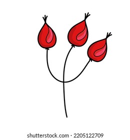 Rose hips isolated on white background. Vector hand-drawn illustration in cartoon style. For your project, cards, logo, decorations.